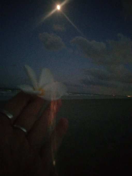 Who wants to go skinny dipping?!?! #BeachLife #SaltLife #SlutLife #NightOwl https://t.co/0RNDNuywcc<a href="/tag/beachlife"class="tags">#BeachLife</a><a href="/tag/saltlife"class="tags"><span>#saltlife</span></a><a href="/tag/nightowl"class="tags"><span>#nightowl</span></a><a href="/tag/slutlife"class="tags"><span>#slutlife</span></a>