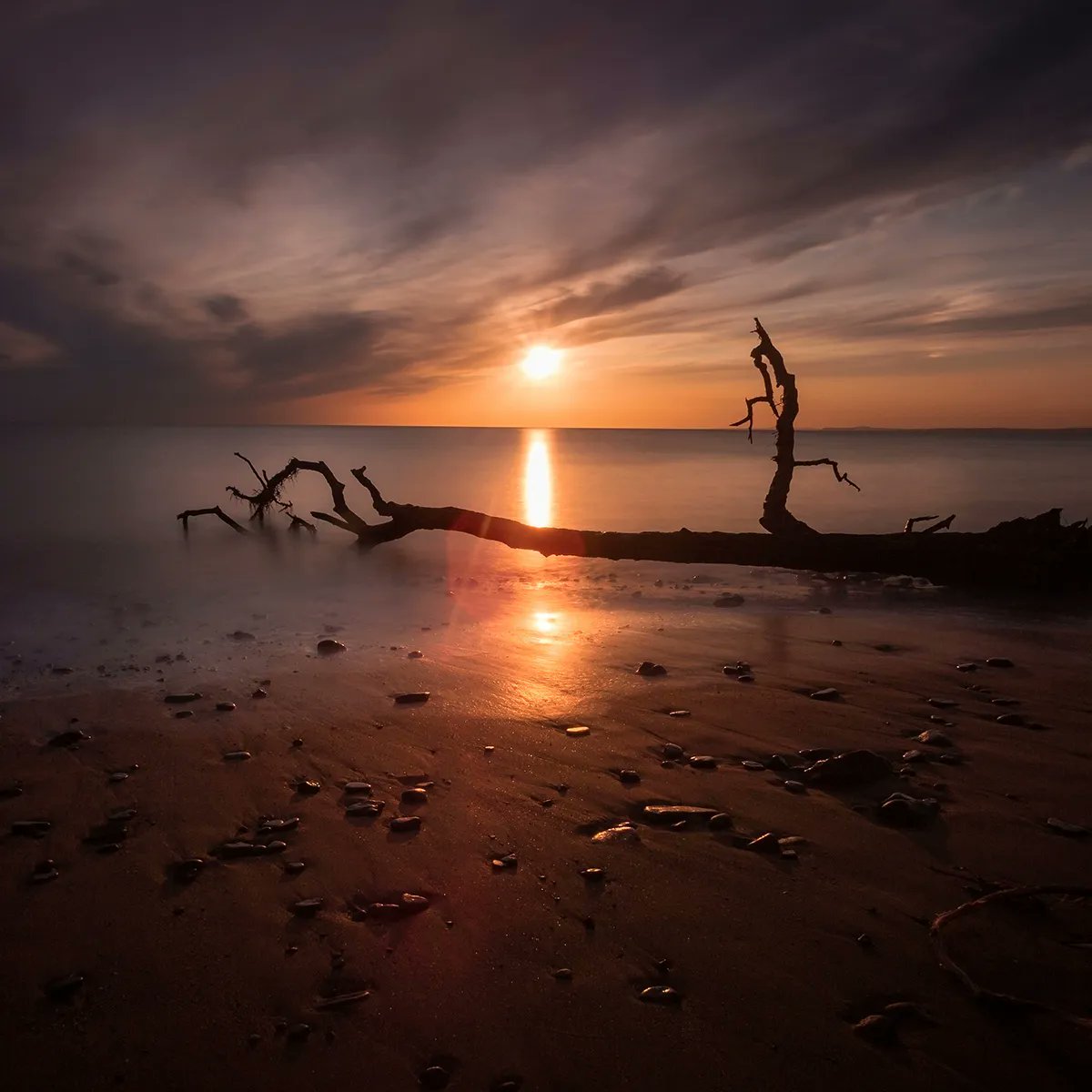 Sunset and driftwood on Sker Beach near Porthcawl.
– By Leighton Collins ☀️

#WalesCoastPath #LlwybrArfordirCymru #VisitWales #CroesoCymru