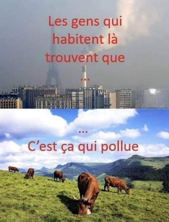 ElChaca99718473's tweet photo. On voit la paille dans l'oeil de son voisin, mais pas la poutre dans le sien. https://t.co/BwHJzoSRUT