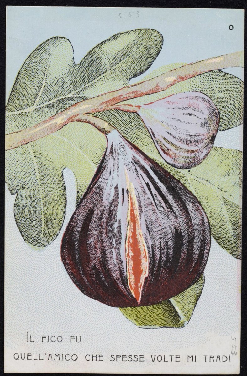 The expression “call a spade a spade” comes from the work of Plutarch, who originally wrote “call a fig a fig & a trough a trough.” Figs & troughs were crude slang for the Vulva, so what Plutarch meant was “call a c*nt a c*nt”. When Erasmus (1466-1536) translated Plutarch’s work…