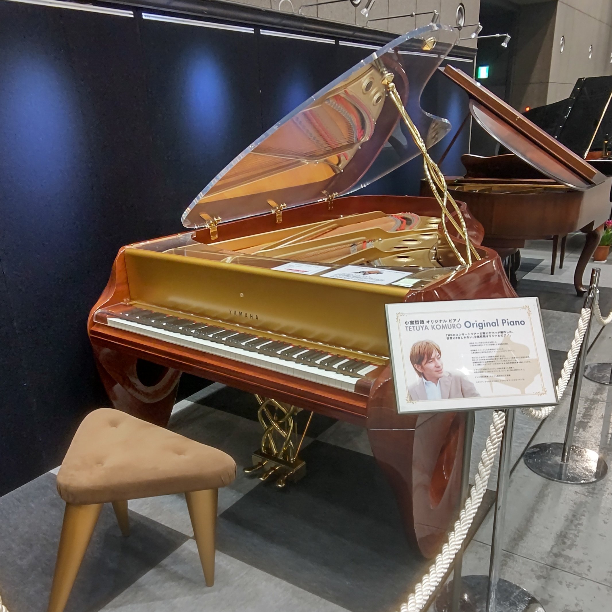 小室哲哉 ビルボードライブ 非売品 ギター ピック 1枚 - メルカリ