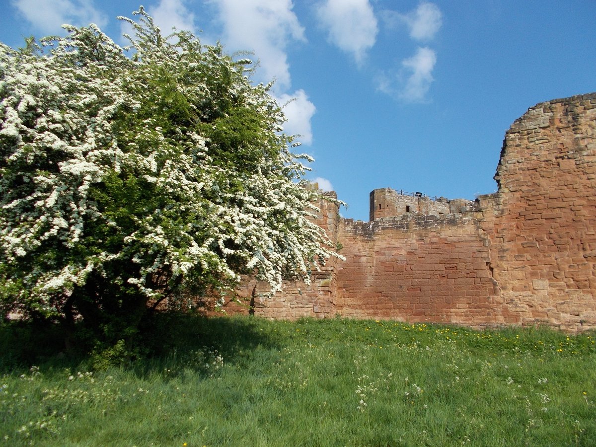 The Folklore of Warwickshire tweet media