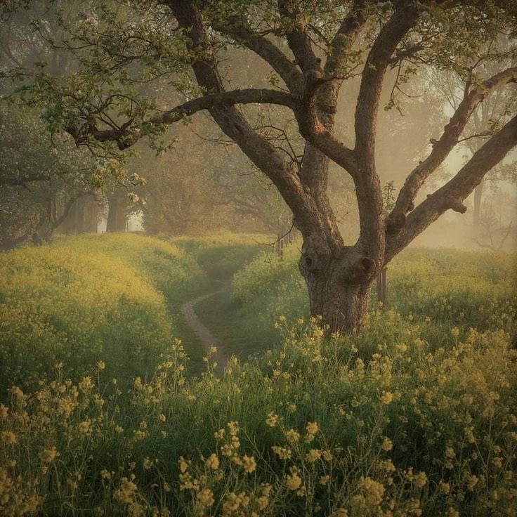 𝕵𝖆𝖓𝖊 (@greendreamvibes) on Twitter photo 