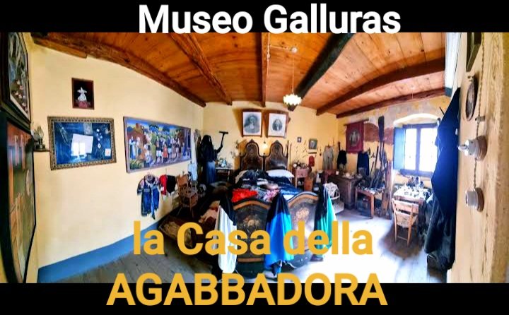 MUSEO GALLURAS tweet media