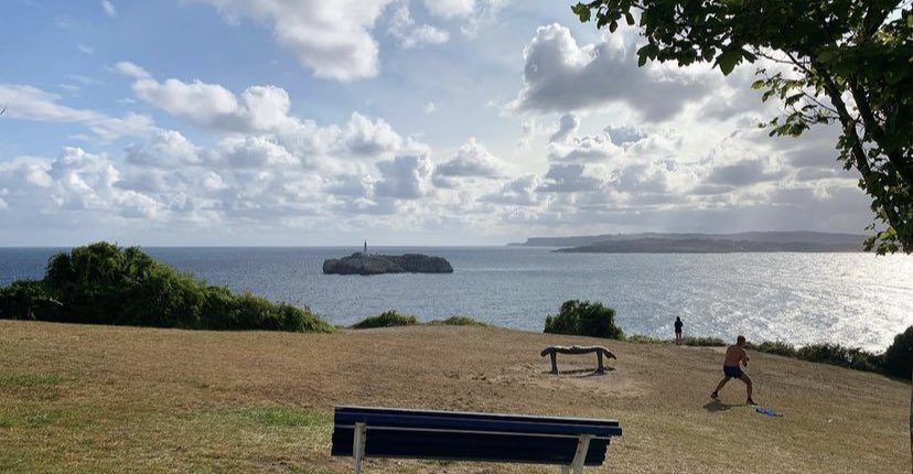 Andrea Carrera tweet media