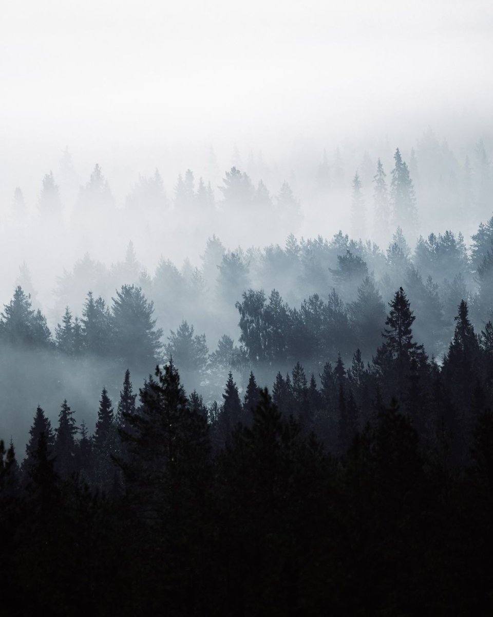 It’s the season for the best foggy weather! 

#finland #lapland
