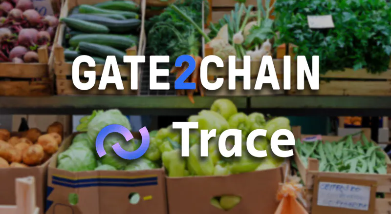 Thread 1/10: Tracking Food with Gate2Chain and Trace. Tracing food origins aids safety regulation, risk identification, and mitigation. #FoodTraceability #SafetyRegulation