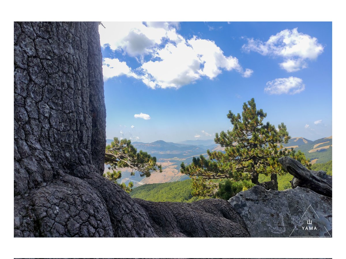 •Patriarca Windows

#IlPatriarca #pinoloricato #Mountain #Tree #Framed #Landscape #Poster #parconazionaledelpollino #Pollino #Calabria #Basilicata #Nature #Italy #MurgiaAdventures #Photography #NaturePhotography 
#Yama山 #山