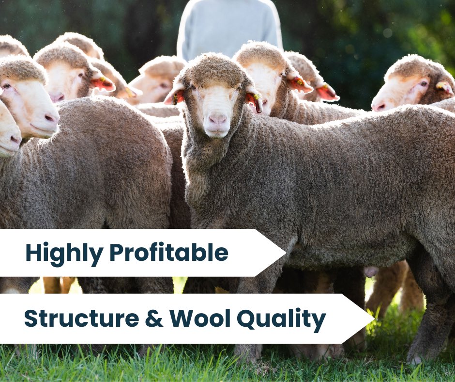 haddonrigstud tweet media