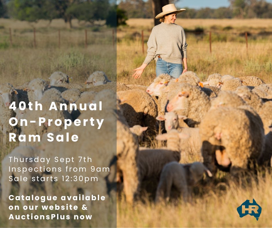 haddonrigstud tweet media