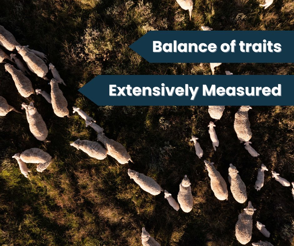 haddonrigstud tweet media