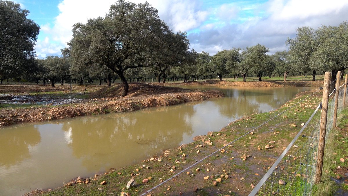 snscaimito's tweet image. Beeindruckend. Kommt wohl eine Menge. Da kann man nur hoffen, daß in der Gegend der Wald in gutem Zustand ist und ansonsten auch Maßnahmen getroffen wurden, damit das Wasser gehalten und verlangsamt wird. Z.B. mit solchen #swales wie auf den Bildern. Das ist auch ein Hang. Das