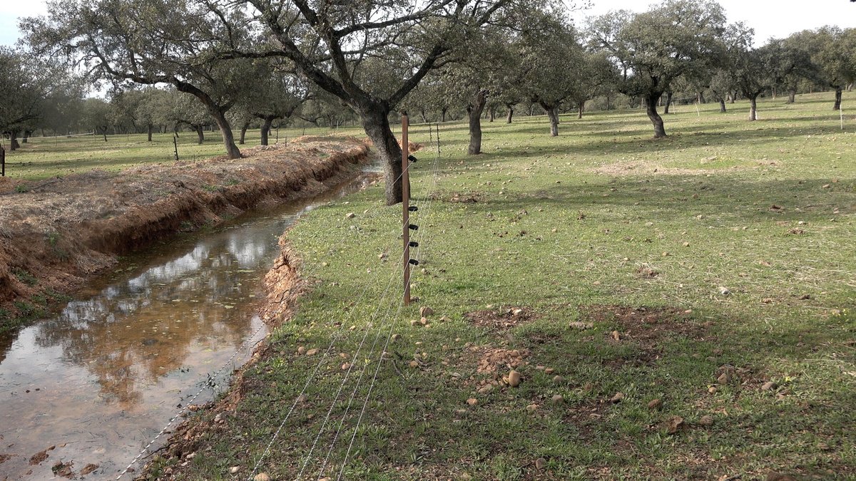 snscaimito's tweet image. Beeindruckend. Kommt wohl eine Menge. Da kann man nur hoffen, daß in der Gegend der Wald in gutem Zustand ist und ansonsten auch Maßnahmen getroffen wurden, damit das Wasser gehalten und verlangsamt wird. Z.B. mit solchen #swales wie auf den Bildern. Das ist auch ein Hang. Das