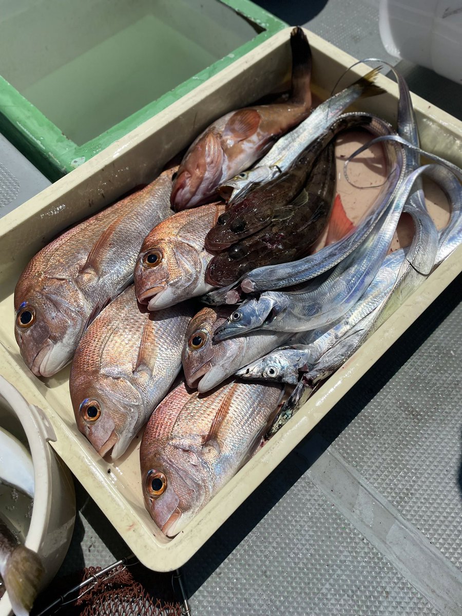senbei47733231's tweet photo. 太刀魚ジギングに鯛ラバに楽しい１日じゃった〜😆 https://t.co/MLjXn8jqMK