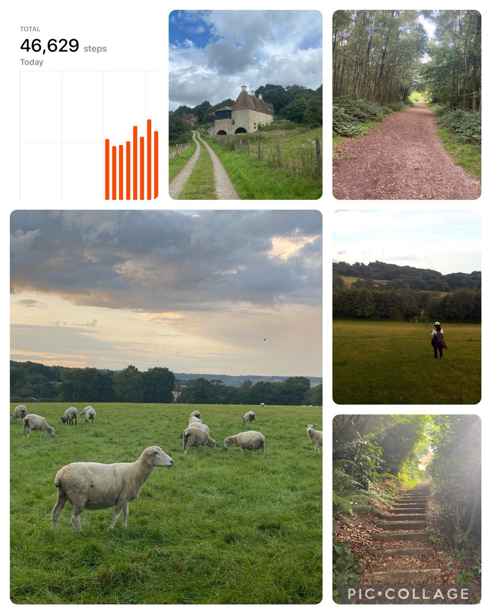 A hike was what I needed to finish #NursesActive strong. Fabulous company and some outstanding views. Clocked 18 miles 💪🏽 #WeActiveChallenge @WeNurses
