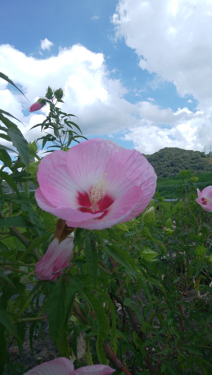 今日のテニスは不調、速い球が打てない速くないと勝てない。
トレーニング不足だ　わかっているが時間と体力両立しない。
現状で工夫するしかないか。

女性高額収入 
 taa1341.web.fc2.com/ad3.html