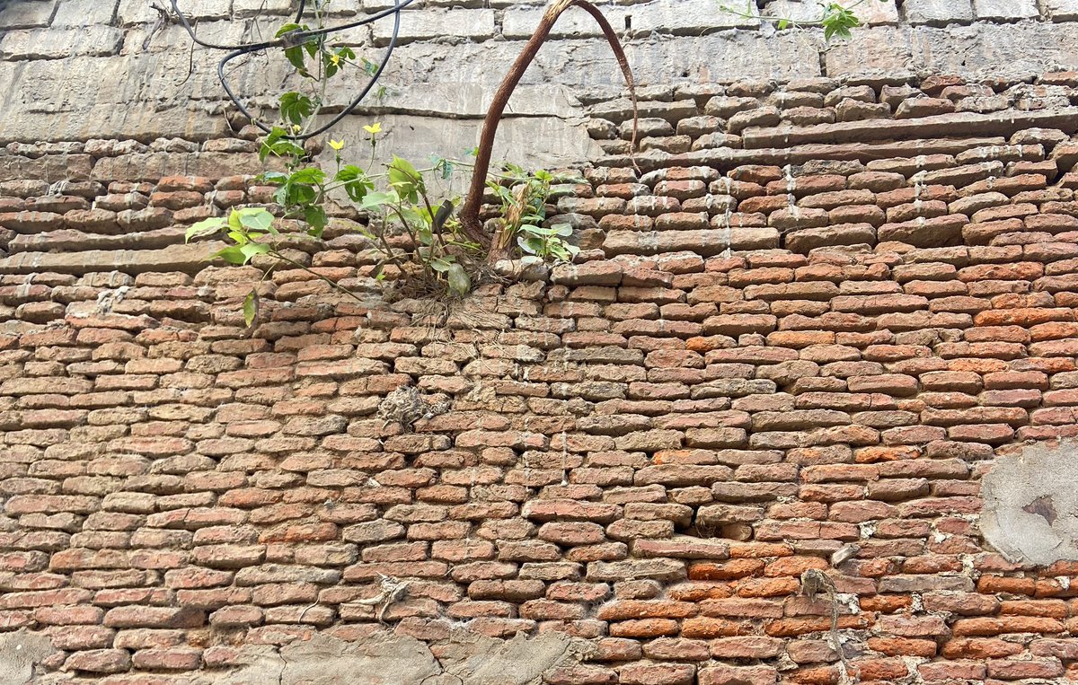 vivekjadon001's tweet photo. The word Development itself is etymologically contradictory to the real sense of growth.  Recent #natural_disasters are definite warning signs that nature is reclaiming it's ownership. It is high time we rethought our policies to promote living in peace and harmony with nature. https://t.co/EziN99we4g
