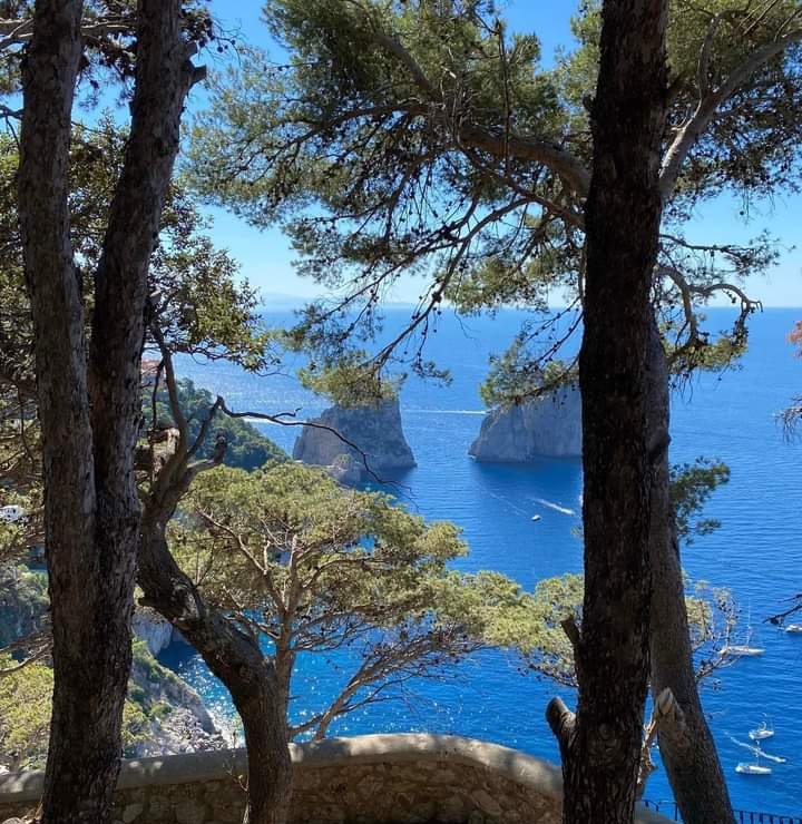 Ogni tanto l'anima ha bisogno di riposo...
Buona Domenica
#Capri❤️