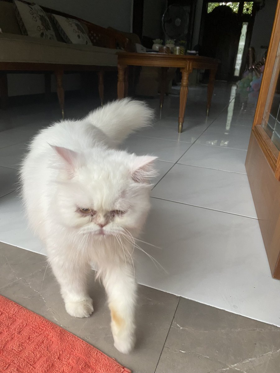 boboc25's tweet photo. Aku janji aku udah berubah https://t.co/TLac4aKv8x