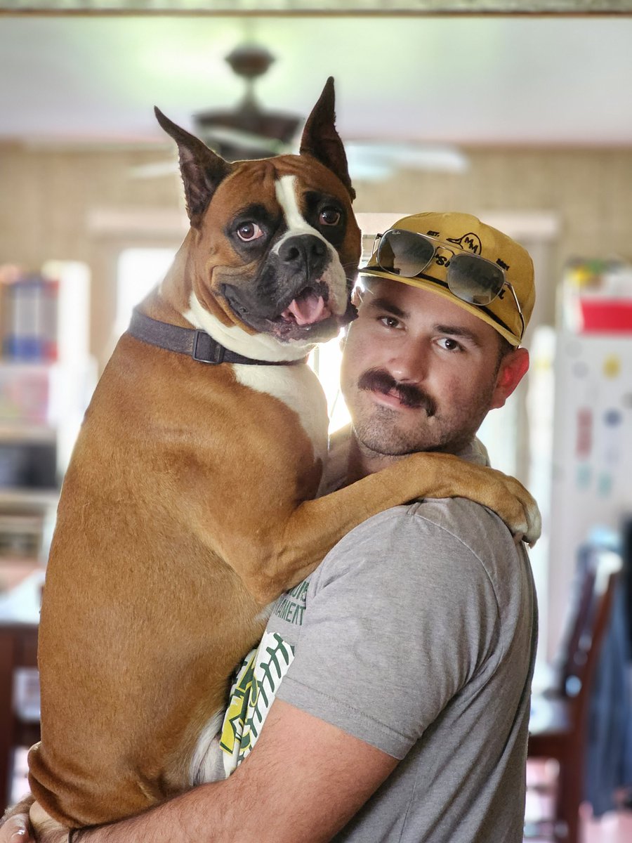 MSolistweet's tweet photo. Happy National Dog Day to our Dewey.  #GoodBoy https://t.co/yJeKLNhZ99