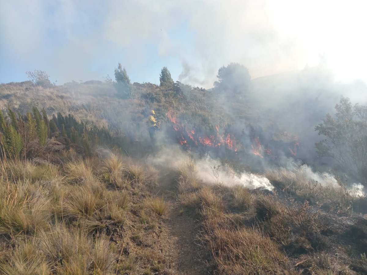 Personal de Bomberos Saraguro 🧑‍🚒🧑‍🚒, y moradores combaten 🔥🌲 combaten incendio forestal en el sector Apuguin - Carboncillo.
<a href="/ECU911_/">ECU 911</a> @ECU911Loja <a href="/GoberLoja/">Gobernación de Loja</a>  <a href="/MAATE_Zonal7/">Dirección Zonal 7 MAATE</a> @alcaldiasaraguro