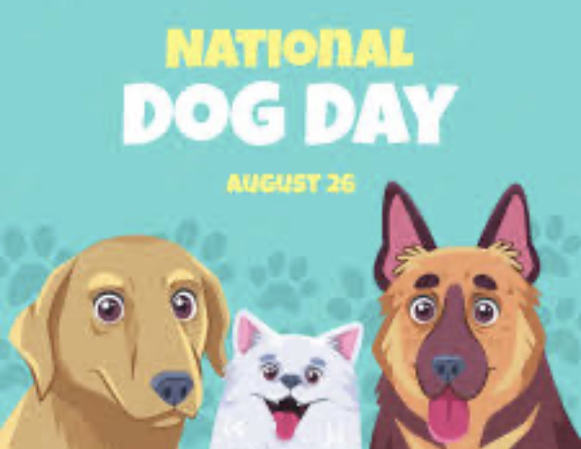 G_Alikpala's tweet photo. A day late, but let’s give a round of ap-paws for these awesome creatures! https://t.co/r4PfrZl3sJ