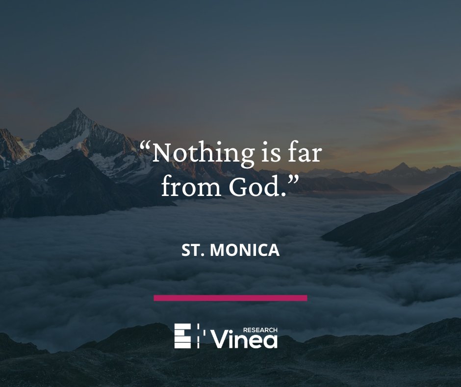 Vinea Research tweet media