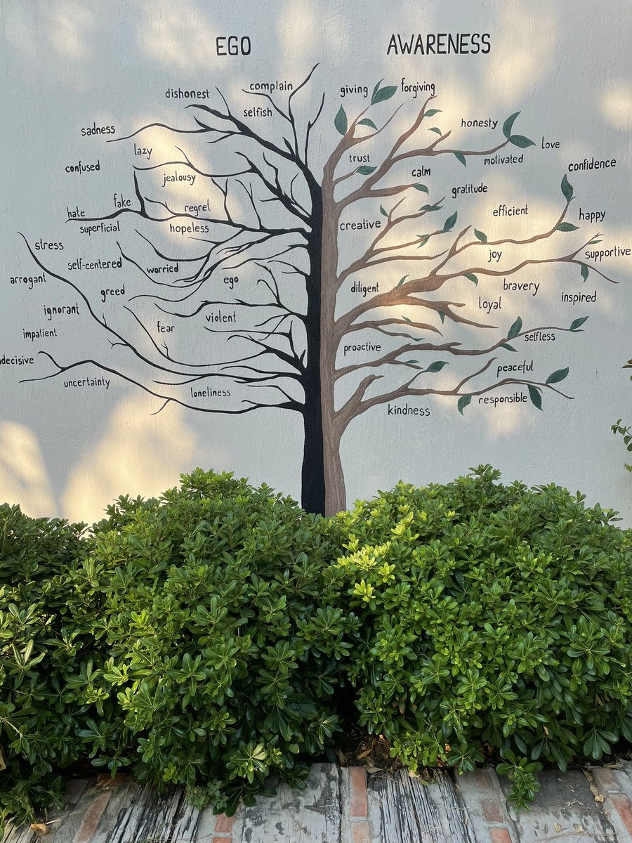 Ego implies unawareness. 
Awareness and ego cannot coexist.🤍