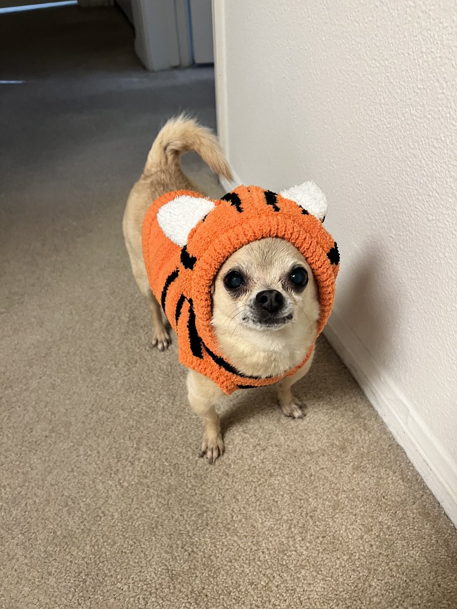 Tricia Tawkwana tweet media