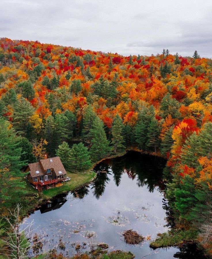 Autumn is coming 🍁