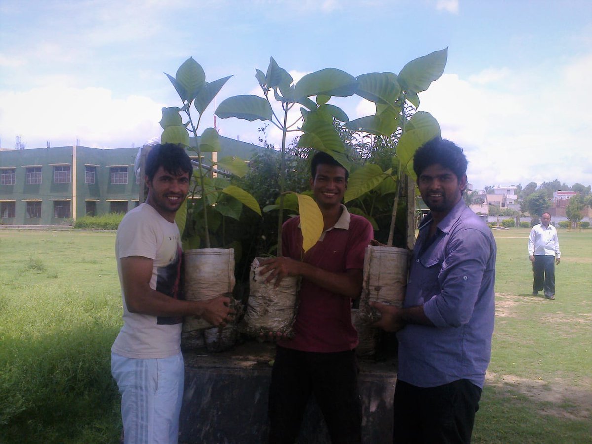Tree Man Devender Sura tweet media