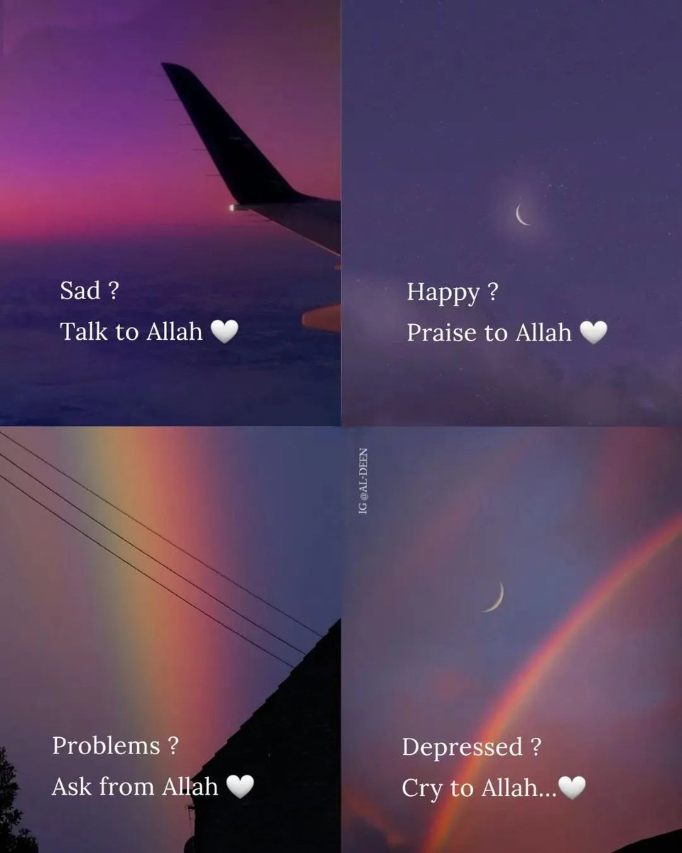 Al__Quraan's tweet image. Allah is all you need