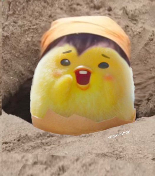 petchanook's tweet image. น้อนยังเร้กอยู่มากน้อนยังมั่ยออกจากเปลือกไข่เรยค่ะทุกคน🐣🤧