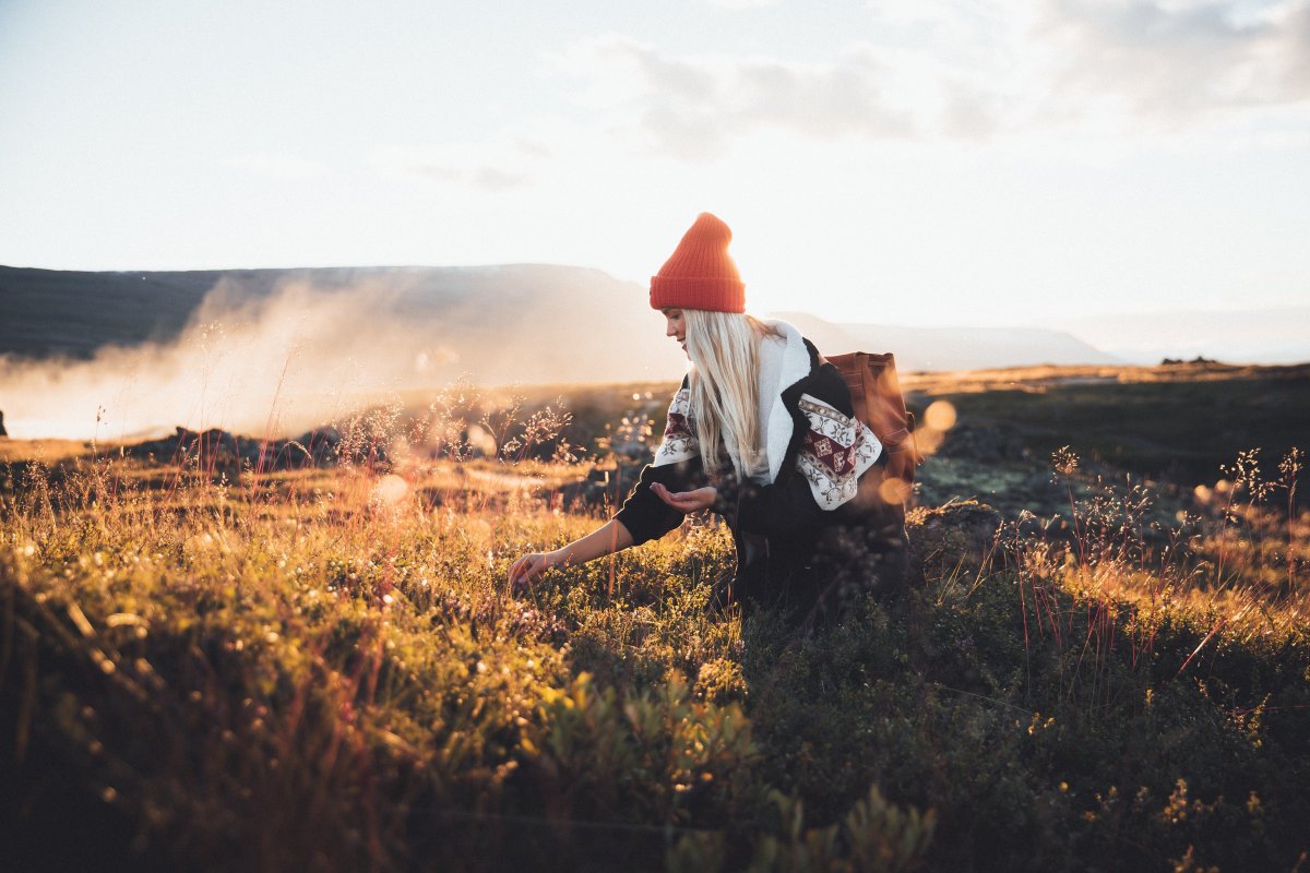 Are you ready to savor the rewarding flavors of Icelandic summer? ☀️🫐 Crowberries, blueberries, and brambleberries are ripe for the picking! 
Check out our berry-picking "berjamór" guide: visiticeland.com/article/berry-…
#inspiredbyiceland