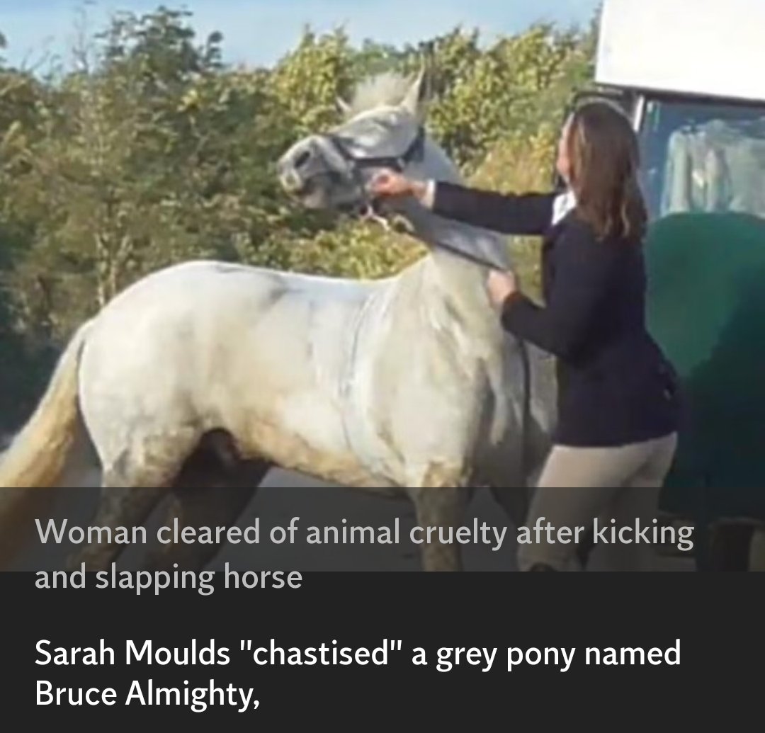 Football fan- punches horse, gets 12 months in prison. ↙️

Huntswoman-punches horse, cleared of all charges. ↘️
#SarahMoulds