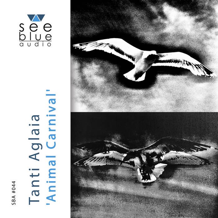 heavycloudhaze's tweet photo. Explore and support See Blue Audio’s wonderful releases on Bandcamp:

https://t.co/NT3xEt6Awm

Coming next month, @SimonMcCorry’s superb ‘I The Storm’.

Other recommended recent releases include ‘Animal Carnival’ by Tanti Aglaia, and @Cleve_A’s f5point6’s ‘Clinical Trials’. https://t.co/4jJJuoUPaI