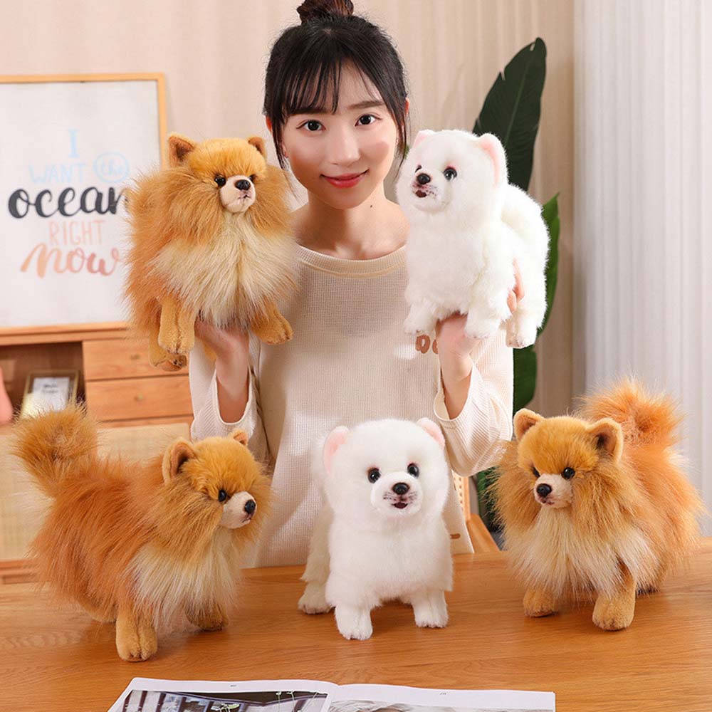 TriverToy's tweet image. How Cute are they?! 😍
Realistic Pomeranian Dog Stuffed Animal Plush Toy😍  

Shop here👉rb.gy/9h81f

#Pomeranian #puppy #dogplush #plushie #softtoy #plushtoys #kidstoys #plushies #kawaii #roomdecor #kawaiithings #kawaiiaesthetic #kawaiistuff