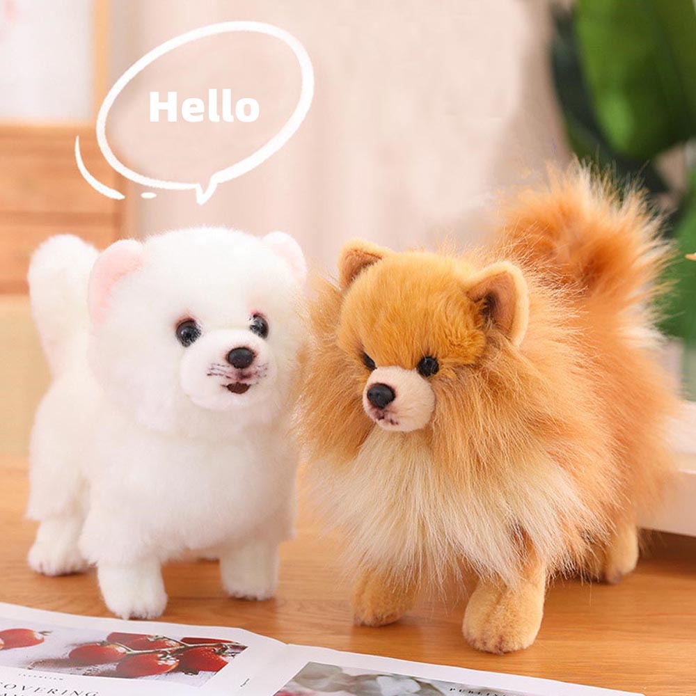 TriverToy's tweet image. How Cute are they?! 😍
Realistic Pomeranian Dog Stuffed Animal Plush Toy😍  

Shop here👉rb.gy/9h81f

#Pomeranian #puppy #dogplush #plushie #softtoy #plushtoys #kidstoys #plushies #kawaii #roomdecor #kawaiithings #kawaiiaesthetic #kawaiistuff