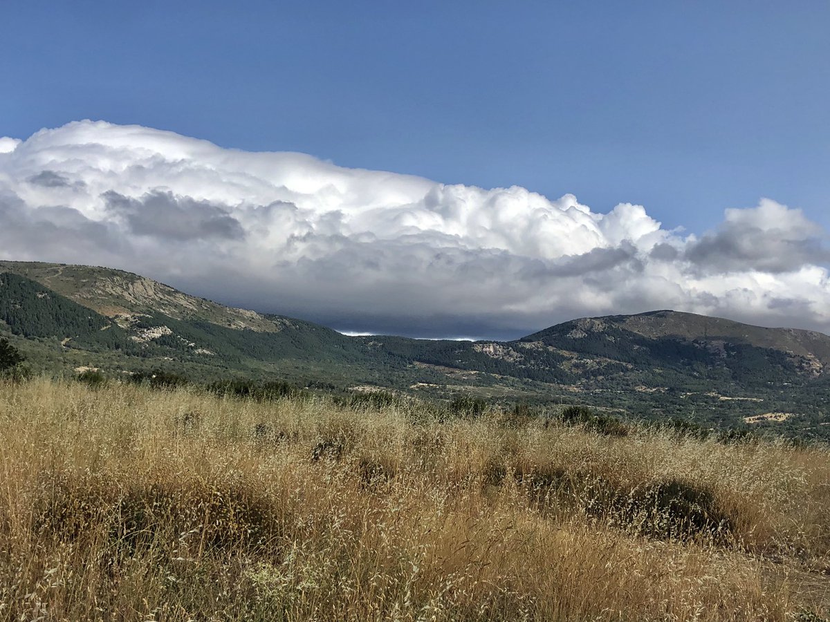 45Beatriz's tweet photo. Primer día desde que regresé de Escocia que salgo a pasear sin penar por el calor. Me da rabia porque me gusta mucho el verano y odio que se acabe. No se puede tener de tó 💁‍♀️
Hoy, #Mirafloreando con forro polar https://t.co/KqtH9hRJ1j