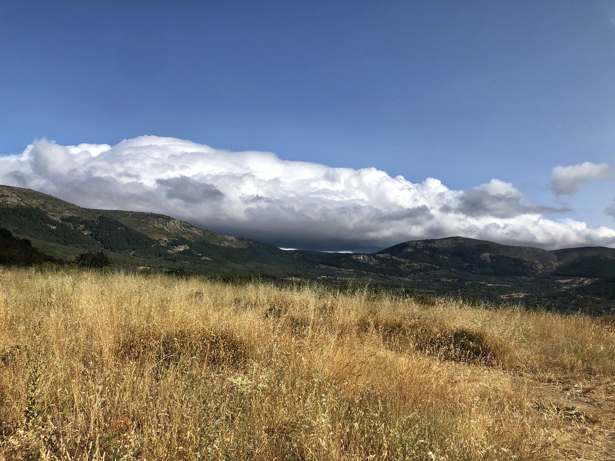 45Beatriz's tweet photo. Primer día desde que regresé de Escocia que salgo a pasear sin penar por el calor. Me da rabia porque me gusta mucho el verano y odio que se acabe. No se puede tener de tó 💁‍♀️
Hoy, #Mirafloreando con forro polar https://t.co/KqtH9hRJ1j