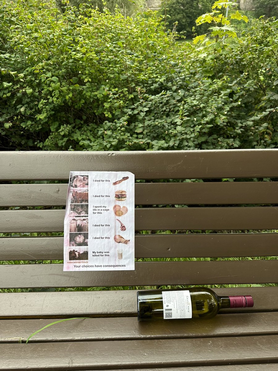 Carmen Kass tweet media