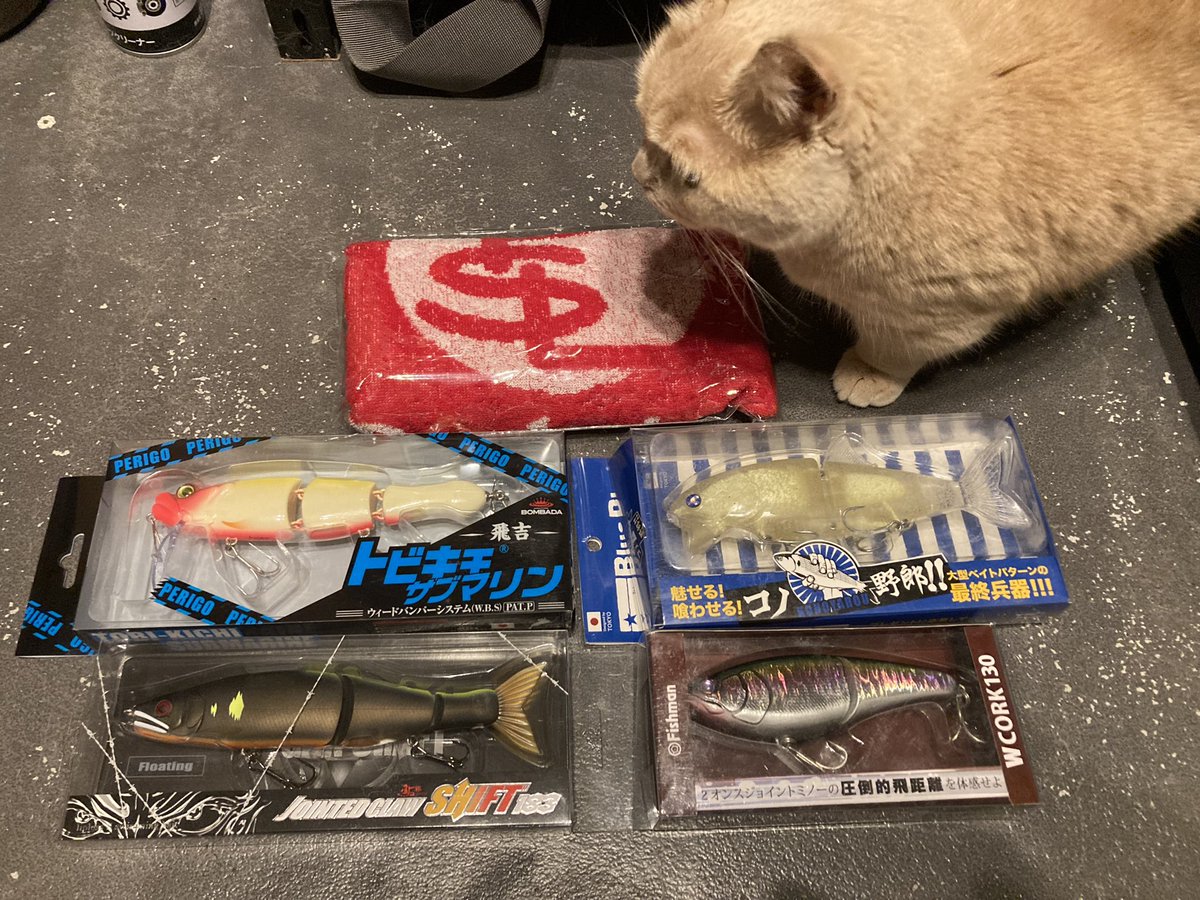 urabunbon's tweet photo. 上州屋赤道店ルアーフェスタにて、秋に向けて新しいおもちゃSHIFT追加。パズのネットケースも予約したし、jacsonのグローブのりで買ったし散財してきたー笑
#GANCRAFT  #じょいくろ #この野郎 #wcork #トビキチ #おとちゃん https://t.co/NtJWelC8TN