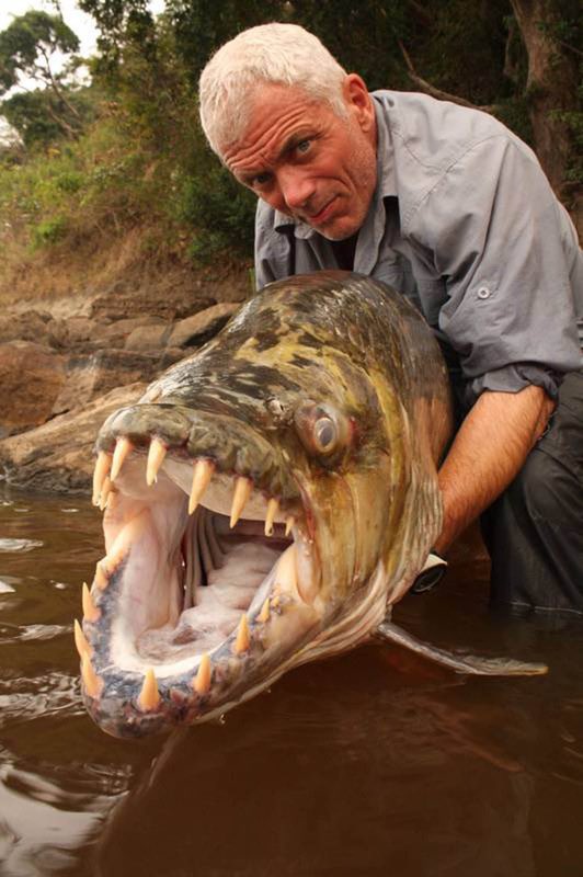 Lencyclopediste's tweet photo. La série « River Monsters» s'est terminée après 9 saisons, car la star, Jeremy Wade, aurait attrapé pratiquement tous les poissons exceptionnellement gros ou dangereux, et qu'ils n'avaient plus de « monstres des rivières » à découvrir. https://t.co/DQJLKXErBv