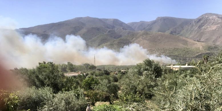 Asvogra's tweet photo. InfoAsVoGra > #IFOrgiva 27/08/2023 12:01 h
Imágenes que nos envían colaboradores y vecinos de la zona próxima al incendio 📷 donde nos dicen que hay un fuerte viento 💨.
@E112Andalucia
@Plan_INFOCA
@VOSTandalucia https://t.co/7r7D8zIa4Q