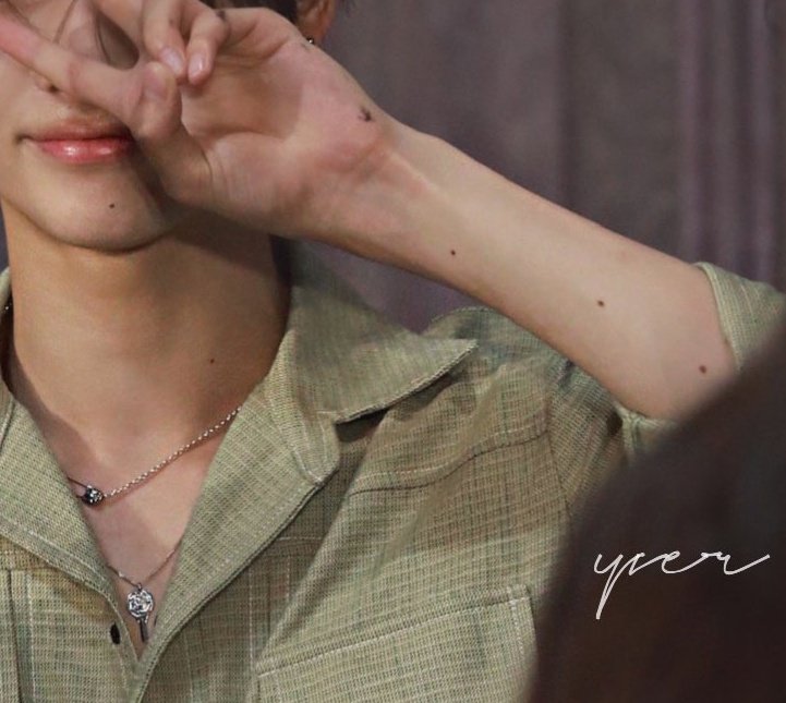 ni-ki and his pretty chocochip moles