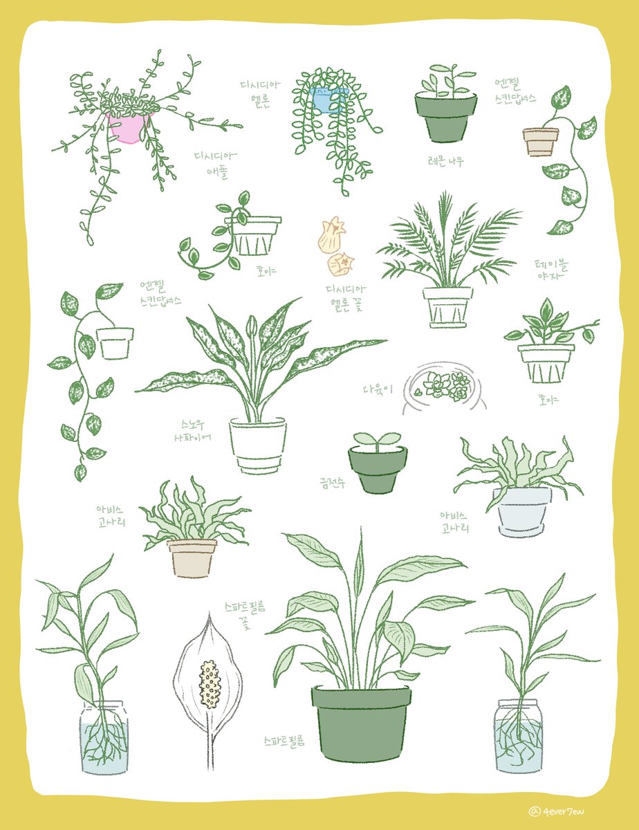 방에 있는 식물들 그려보기 🪴