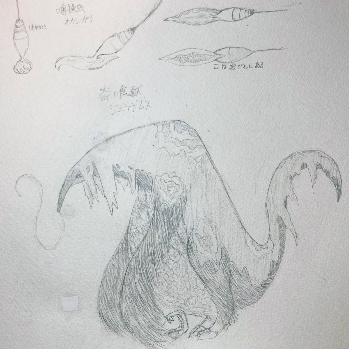 KINOTO1122909's tweet photo. #MH自作モンスター
#MHAD
ロイコクロリディウムとアリクイ、ゾンビモチーフのモンスター。
<寄喰獣 > ジュラデムス
分類 牙獣種
生息域 未定
<噛操虫> オカシガリ
分類 キュリアの近縁種
生息域 未定 https://t.co/iOvgGmF996