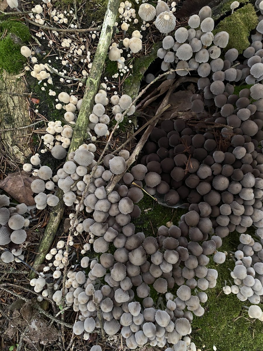 Anastasia Tõnisson tweet media