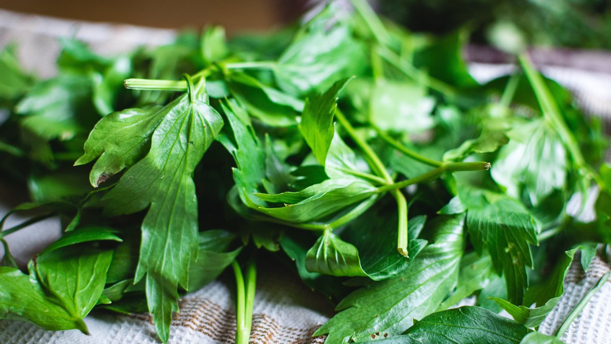 My grandmother used to have a little trick to make broths just superior: using self-grown lovage. 
Lovage is a native European plant, especially used during the Middle Ages in medicinal gardens. Levisticum officinale, is usually found in central and southern Europe (the