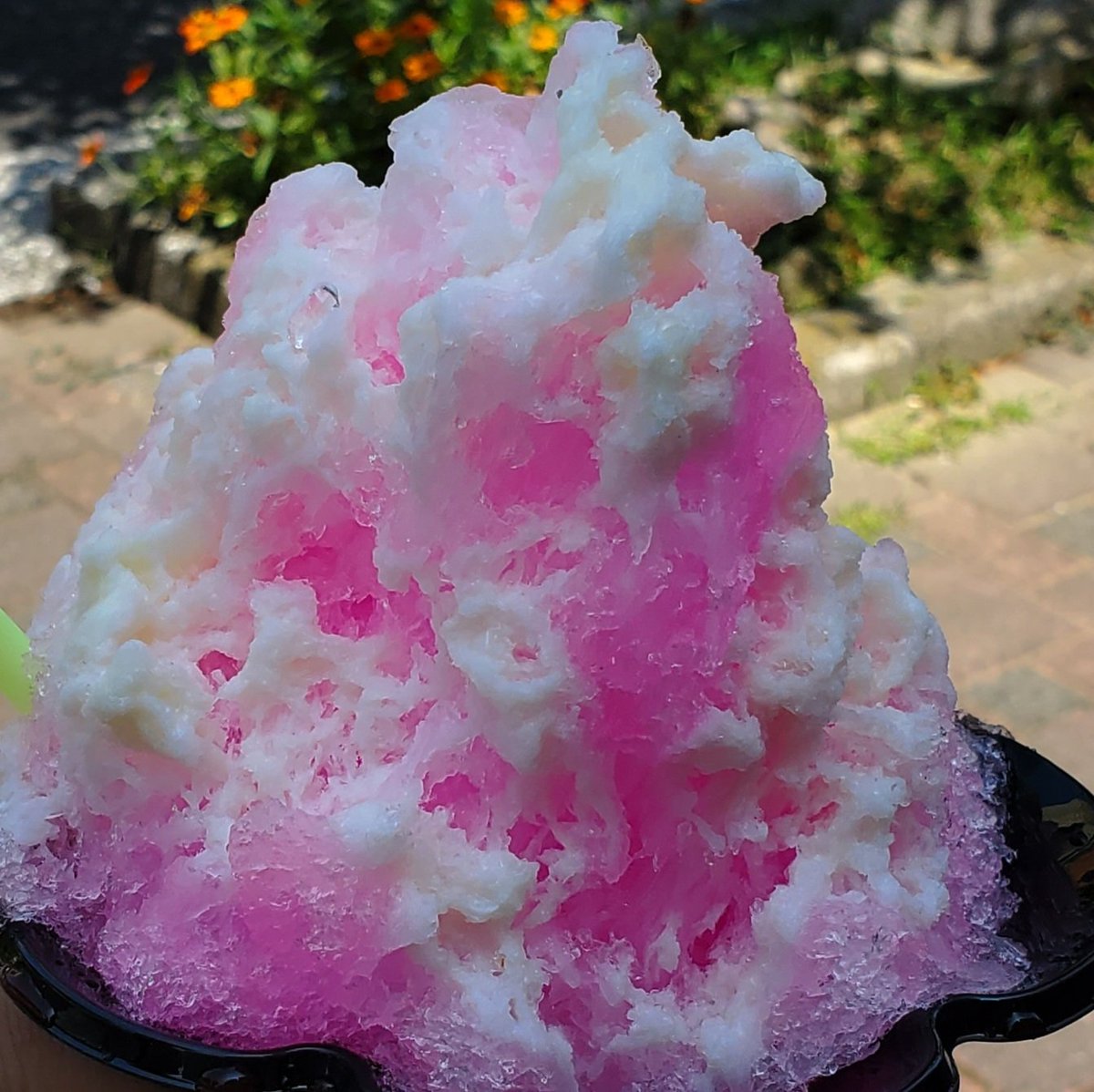 RIN is jp ໒꒱@Vtuber🐾4/22新衣装お披露目 tweet media